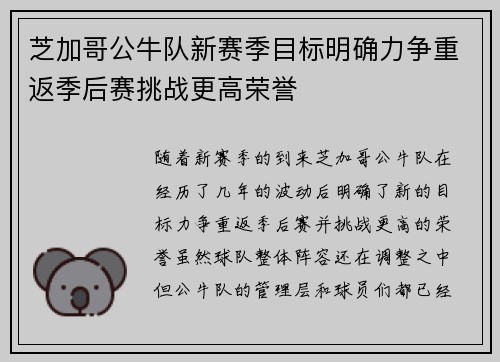 芝加哥公牛队新赛季目标明确力争重返季后赛挑战更高荣誉