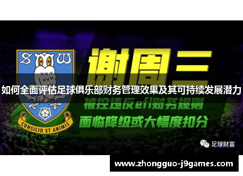 如何全面评估足球俱乐部财务管理效果及其可持续发展潜力